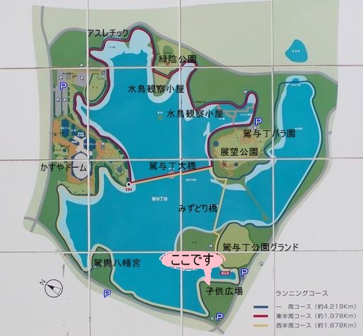 �q���L��͂����ł���